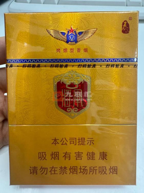 泰山(金将中支)相册