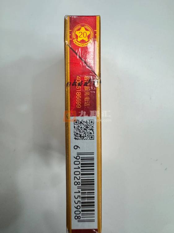泰山(金将中支)相册