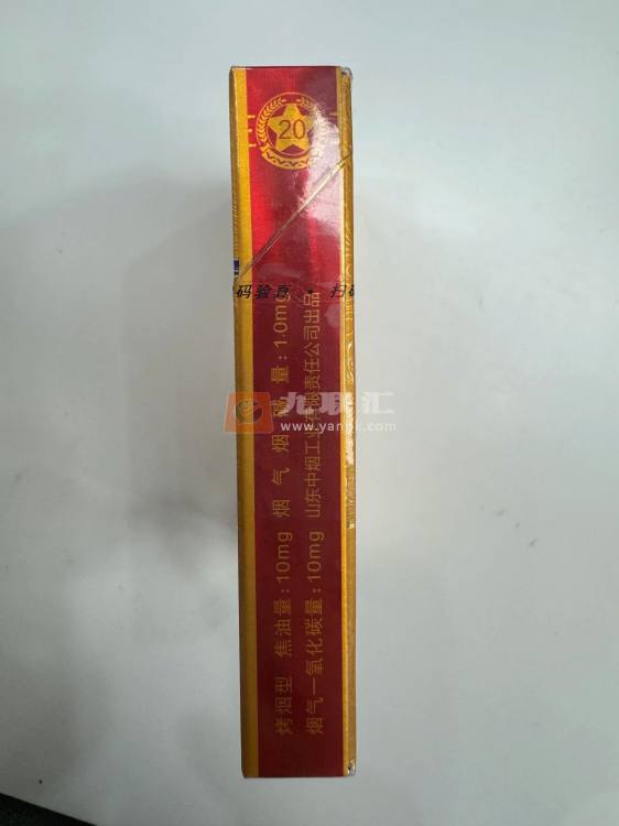 泰山(金将中支)相册