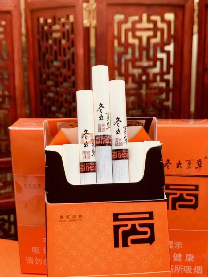 冬虫夏草(秋)相册