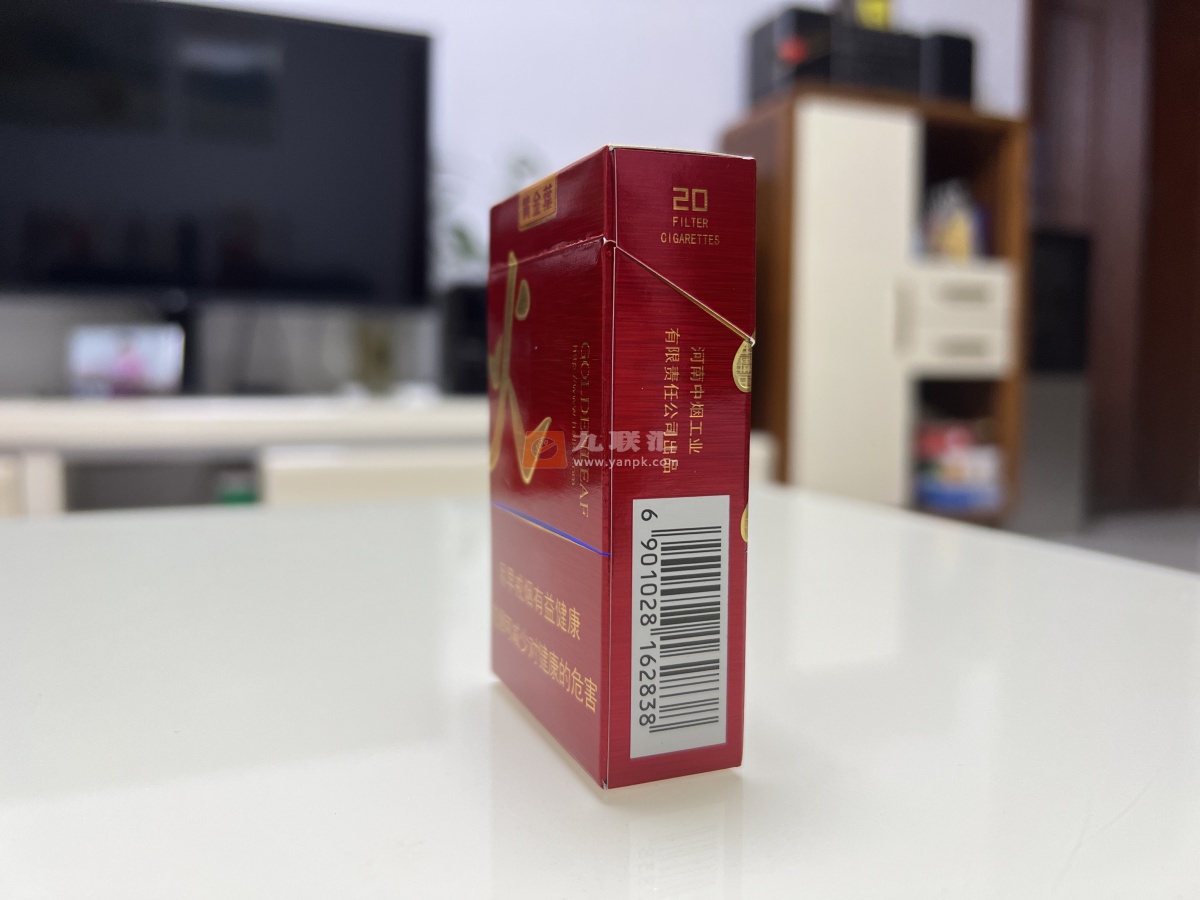 黄金叶(红火)相册