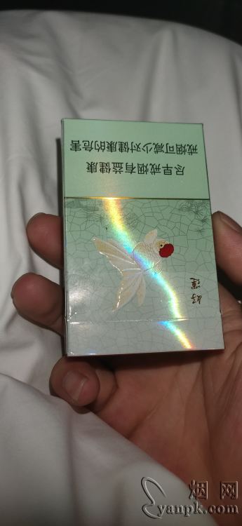 娇子(宽窄 吉祥)相册