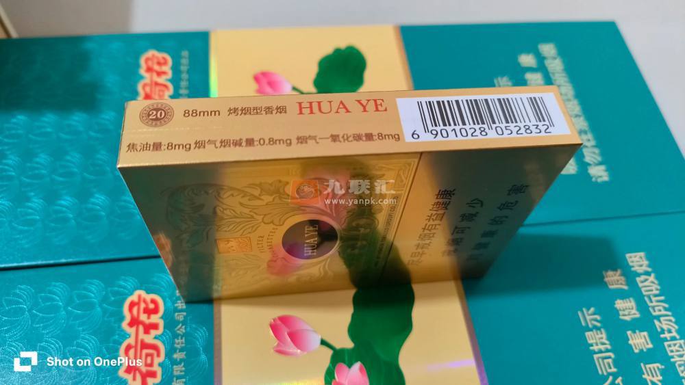 玉溪中支华叶相册