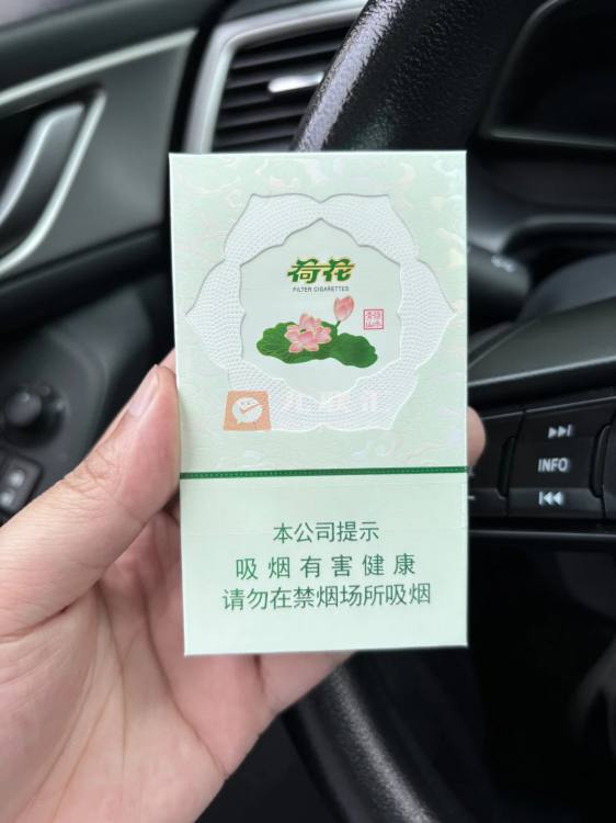 荷花绿水青山相册