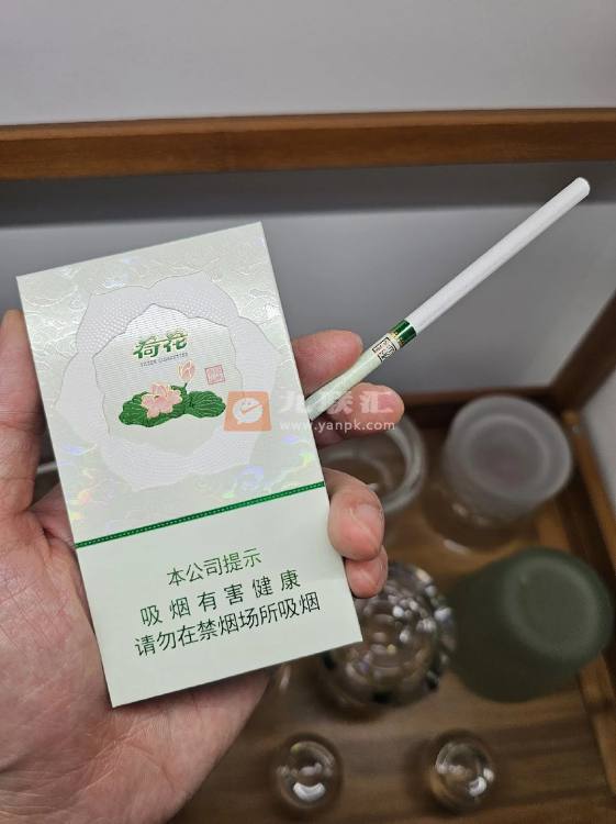 荷花绿水青山相册
