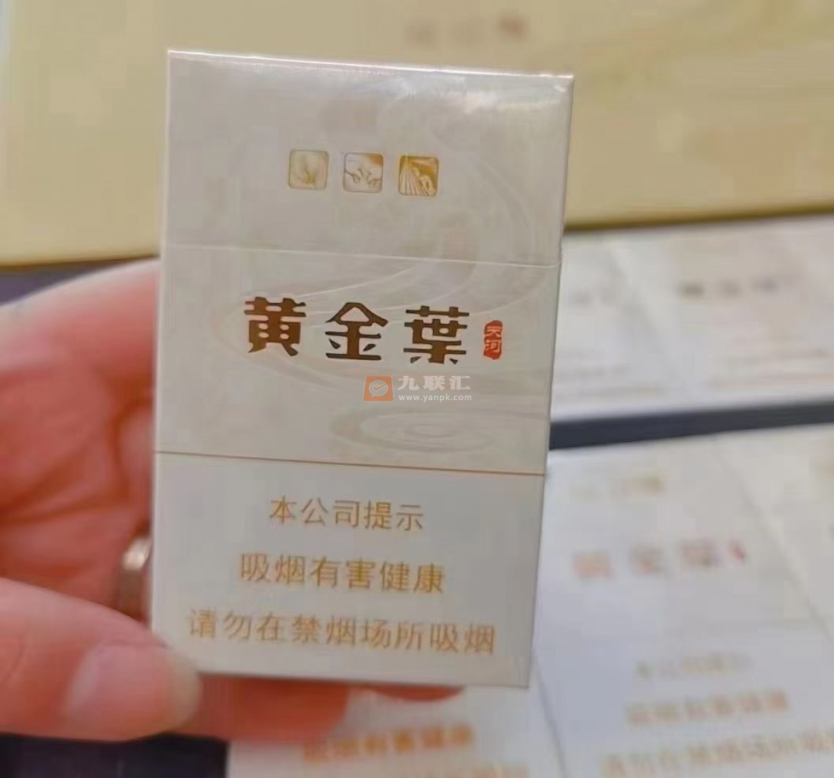 黄金叶(天河)相册