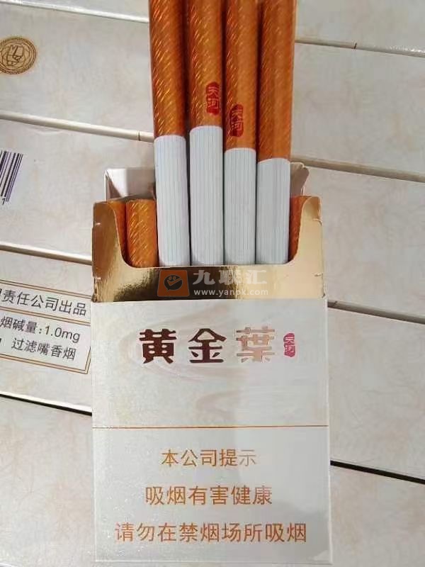 黄金叶(天河)相册