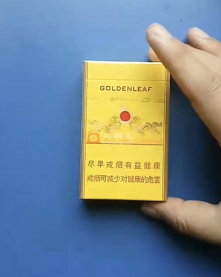 黄金叶(中华龙)相册