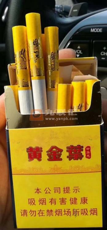 黄金叶(中华龙)相册