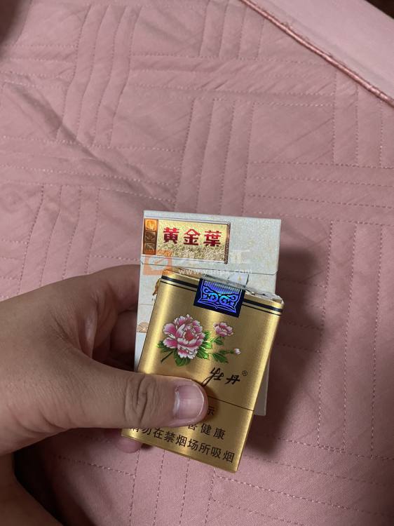 牡丹(金短支)相册
