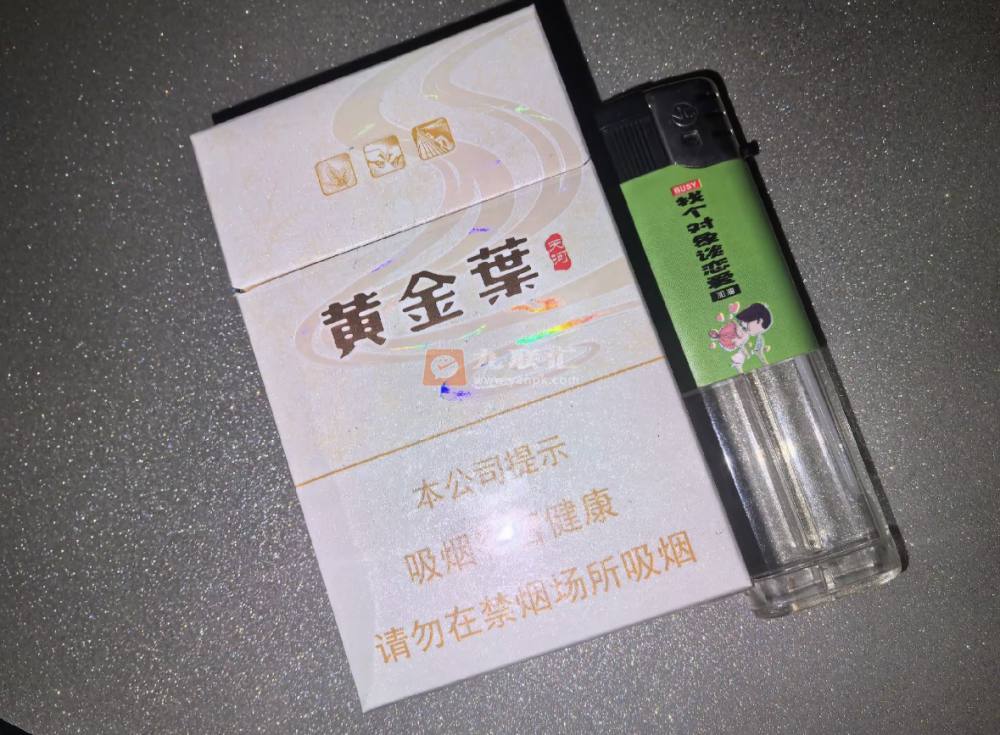 黄金叶(天河)相册