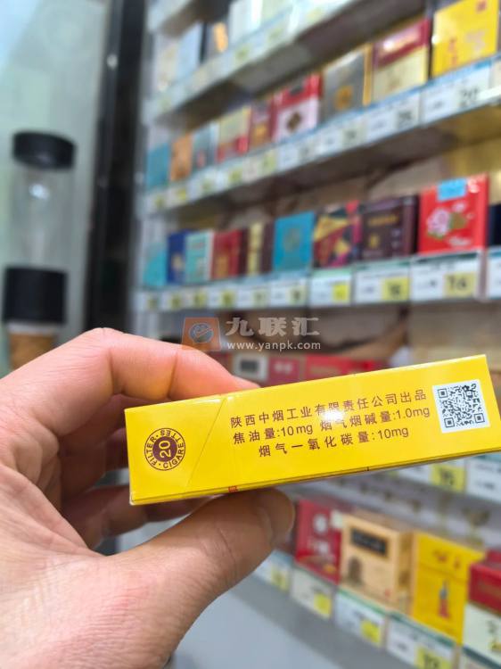 延安(公主)相册