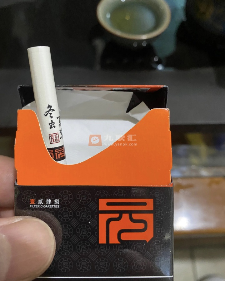 冬虫夏草(1248)相册