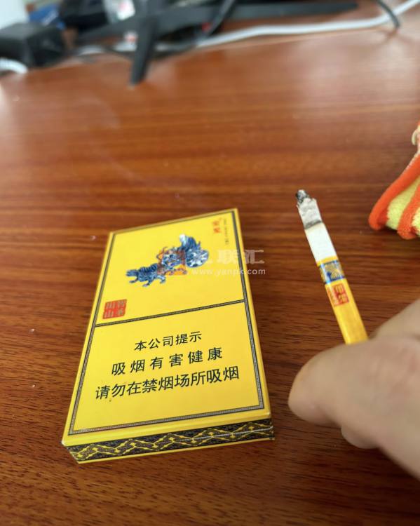 金圣(智圣出山·国瓷)相册