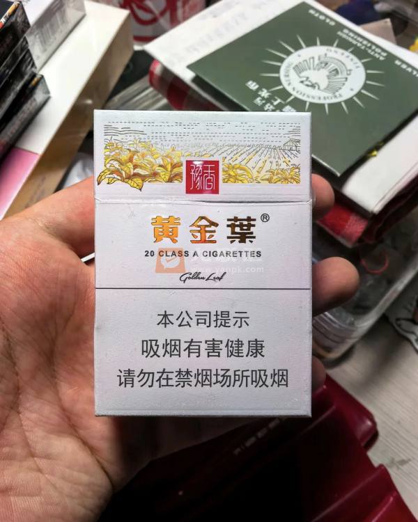 黄金叶(豫香)相册