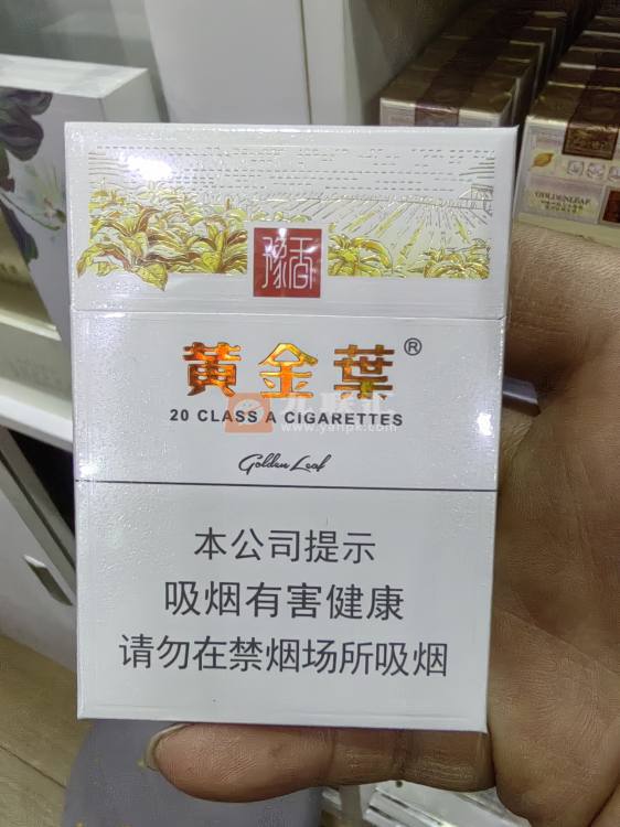 黄金叶(豫香)相册