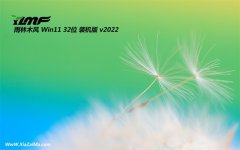 雨林木风最新32位win11精心大师版v2022.06